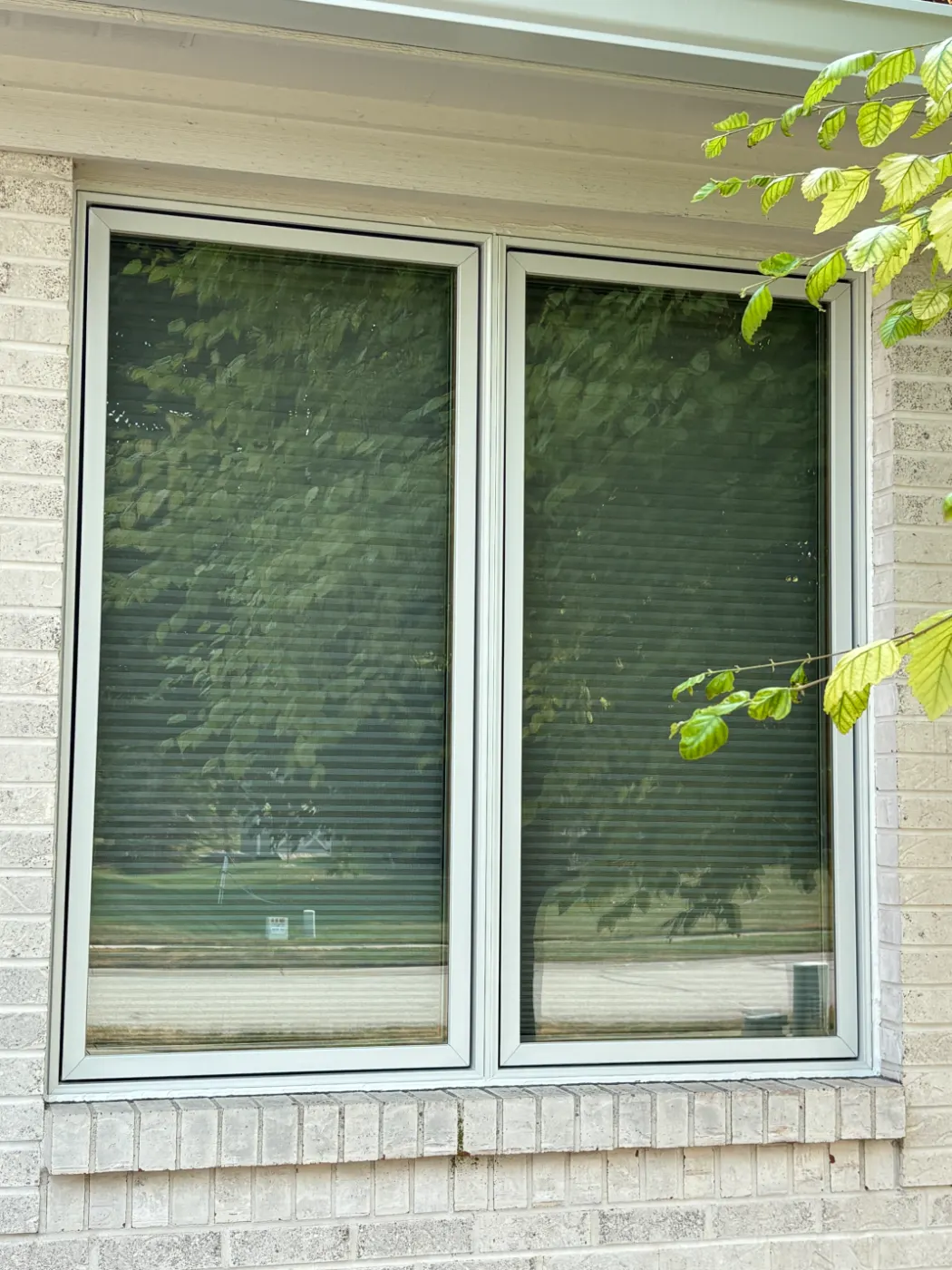 Window replacement documented in Plum Creek